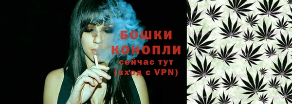 сатива Абдулино