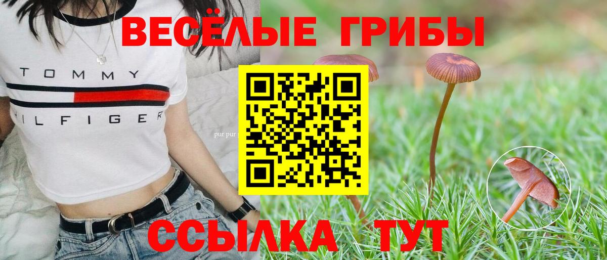 Галлюциногенные грибы ЛСД Абинск